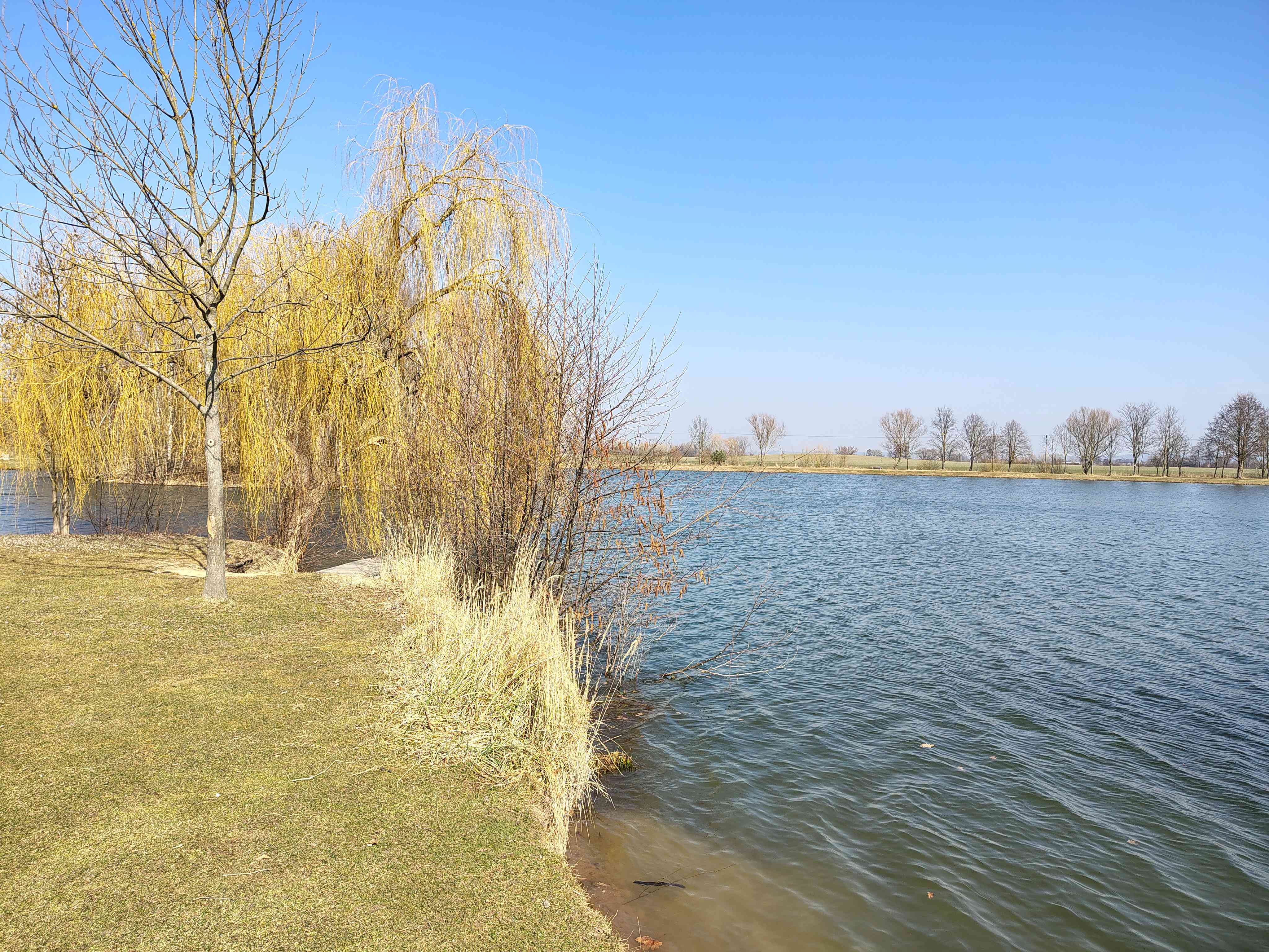 Jezero 1