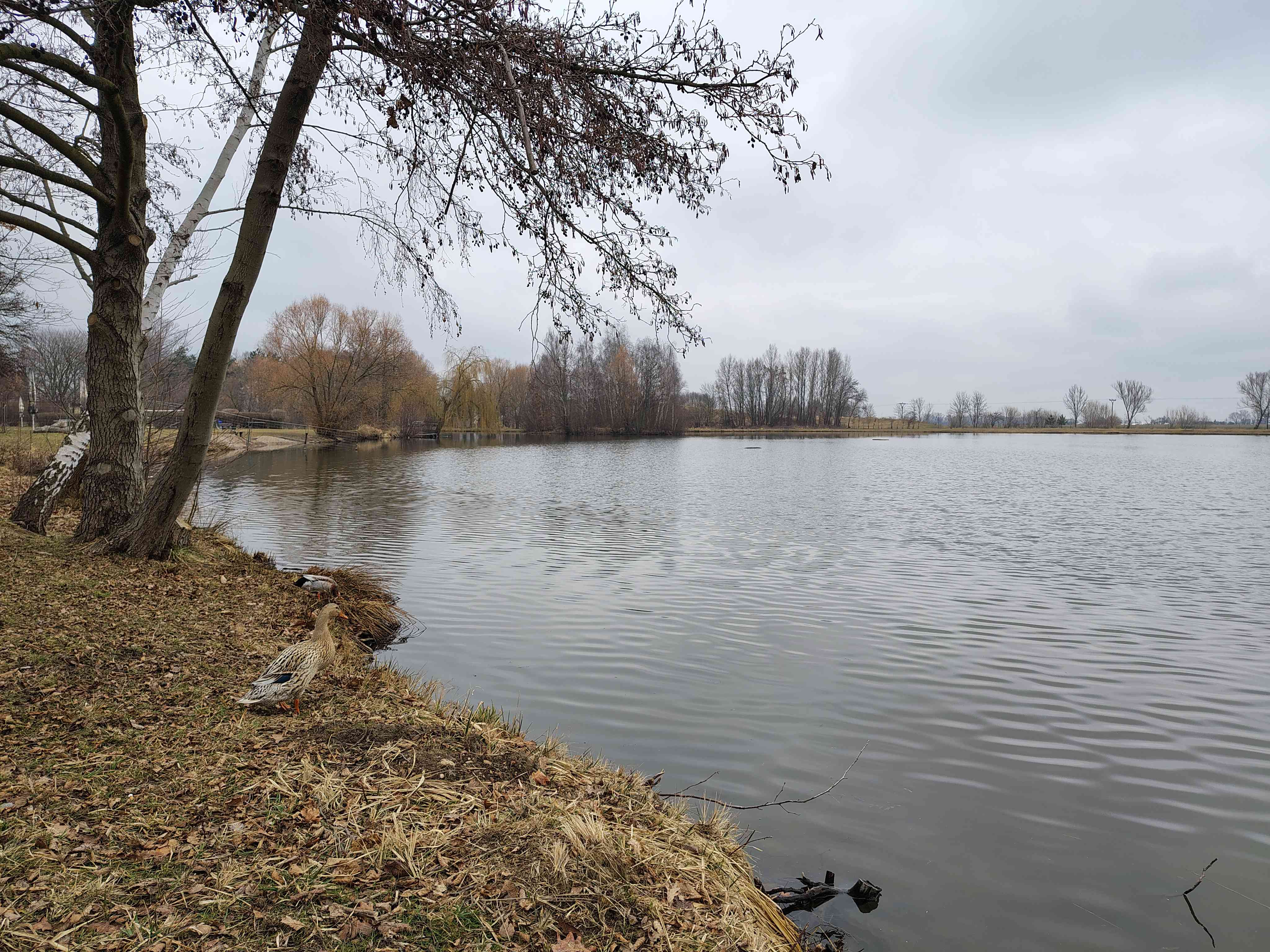 Jezero 3